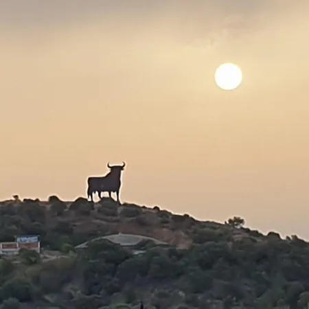 Boliches Oda ve Kahvaltı Fuengirola