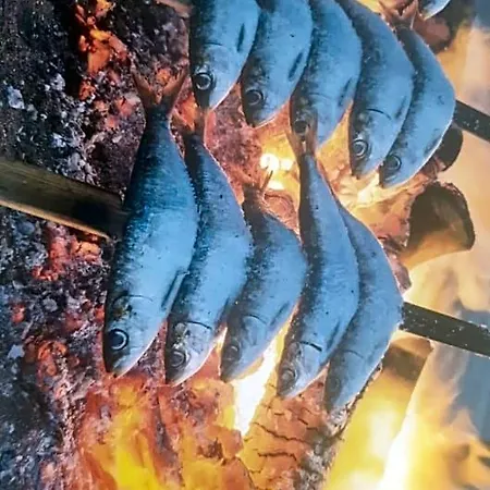 Boliches Fuengirola