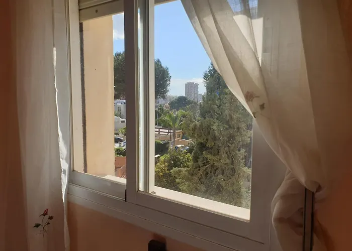 Boliches 丰希罗拉